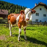 Grillhof-gut Фермерский дом Маутерндорф
