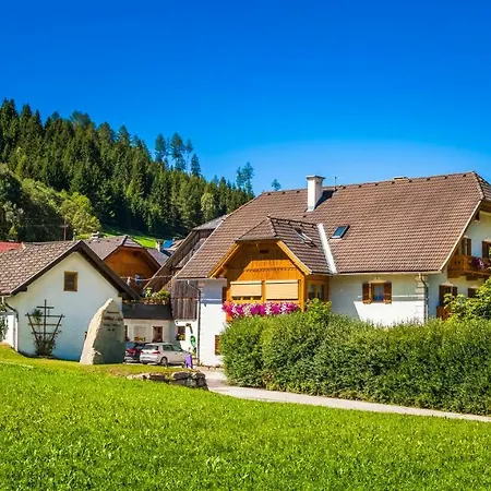 Vakantieboerderij Grillhof-gut *