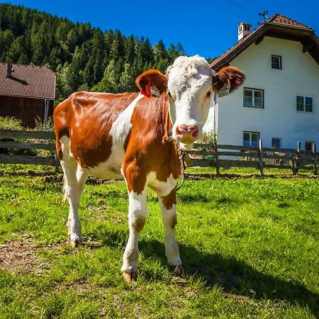 Grillhof-gut Agroturismo Mauterndorf (Salzburg)