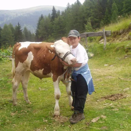 Vakantieboerderij Grillhof-gut Mauterndorf (Salzburg)